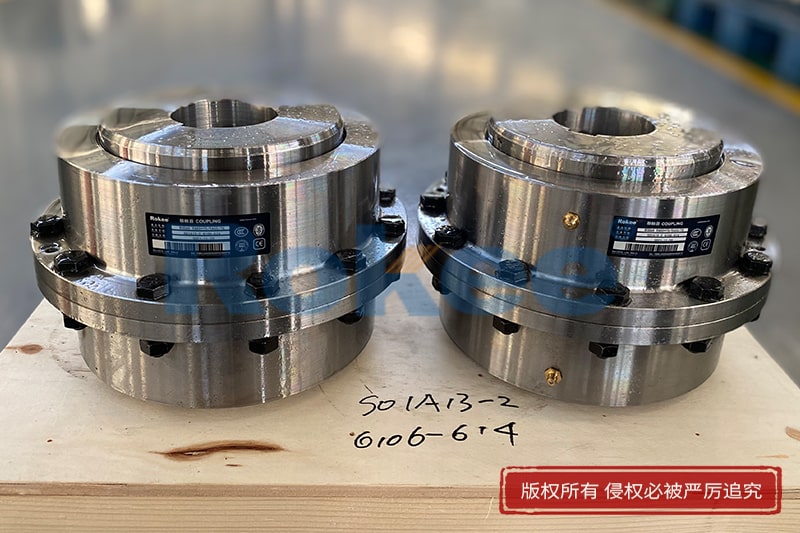 RODA Gear Type Coupling