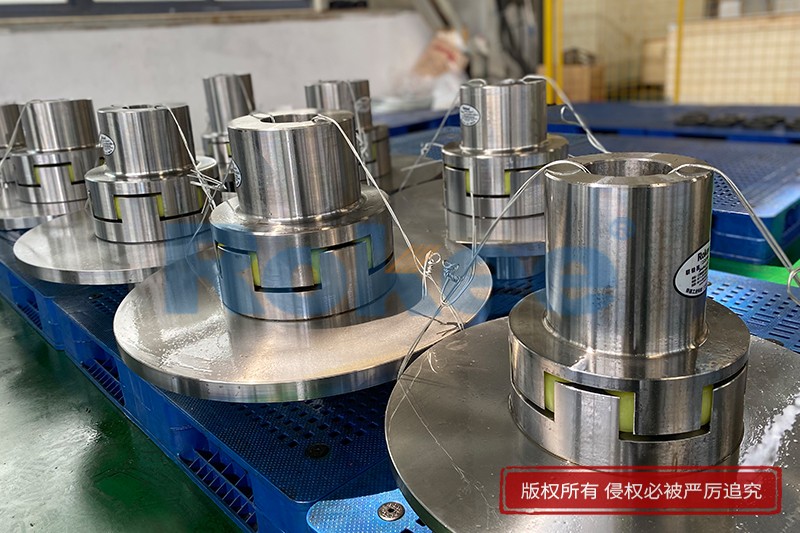 Flexible Coupling With Brake Disc