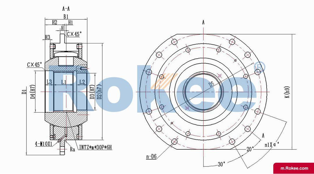 WZL Internal Spline Drum Coupling