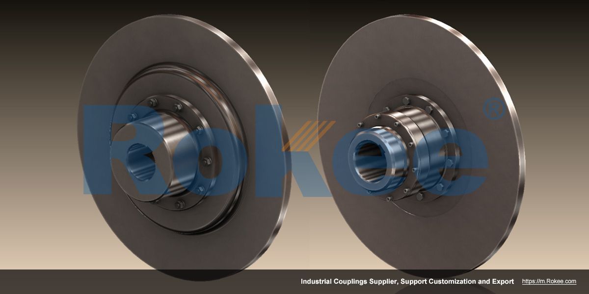 WGP Drum Gear Coupling With Brake Discs