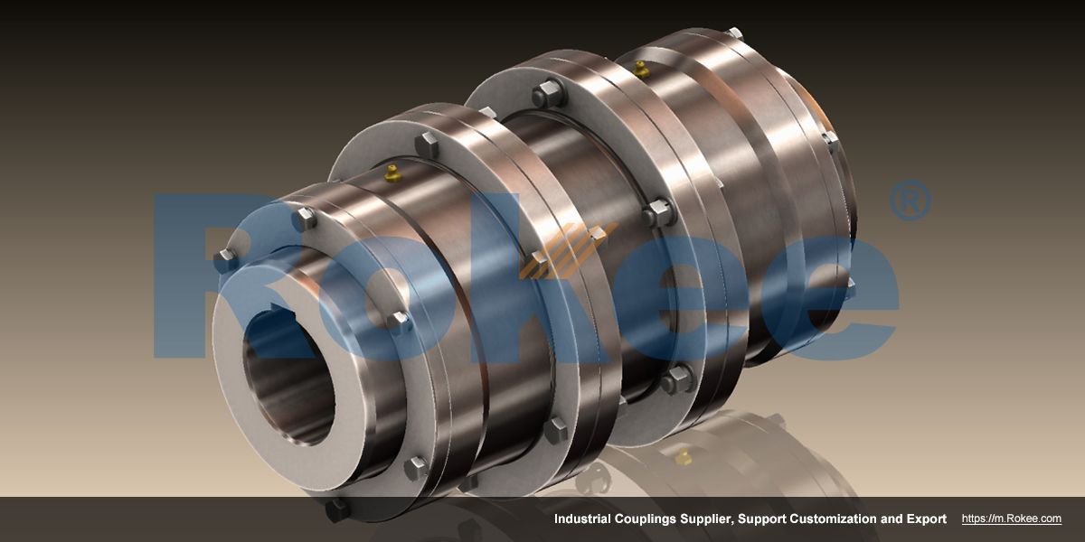 WGT Drum Gear Coupling With Indirect Tube