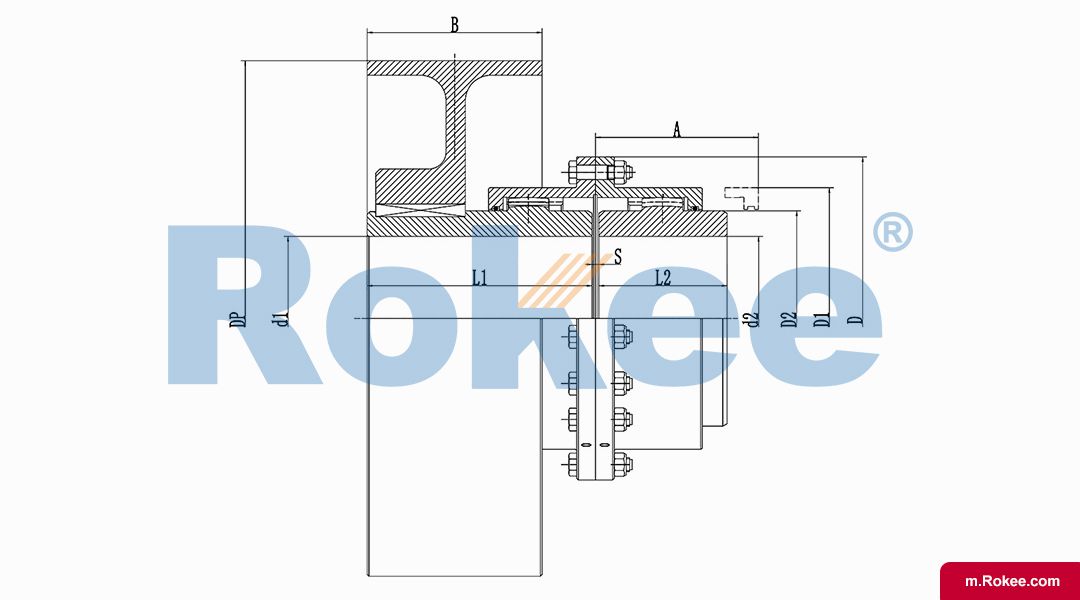 RODU Drum Gear Coupling With Brake Wheel