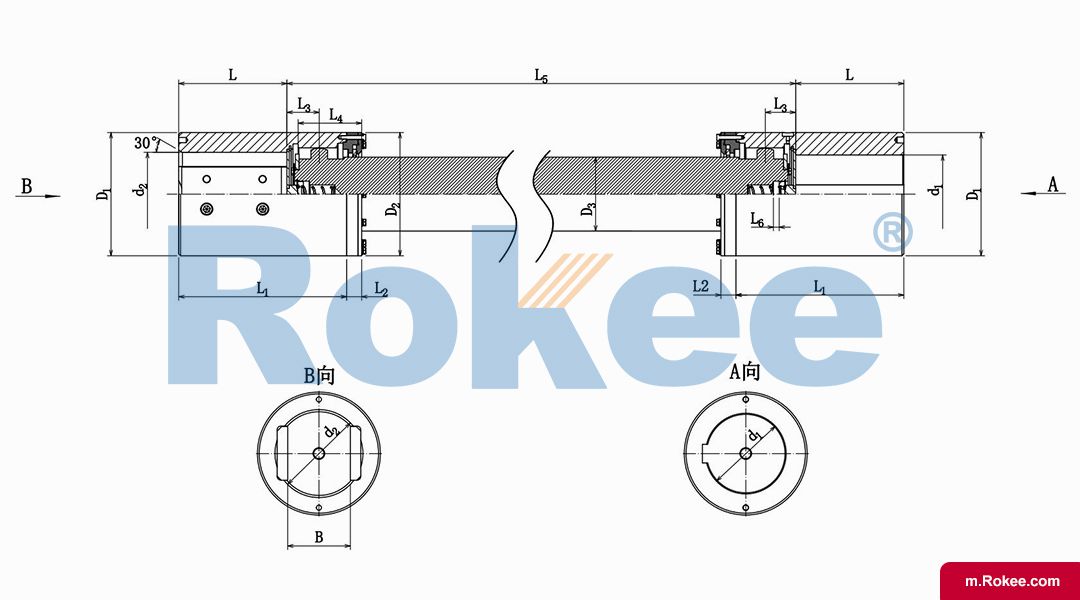 WGJ Drum Gear Coupling With Intermediate Shaft