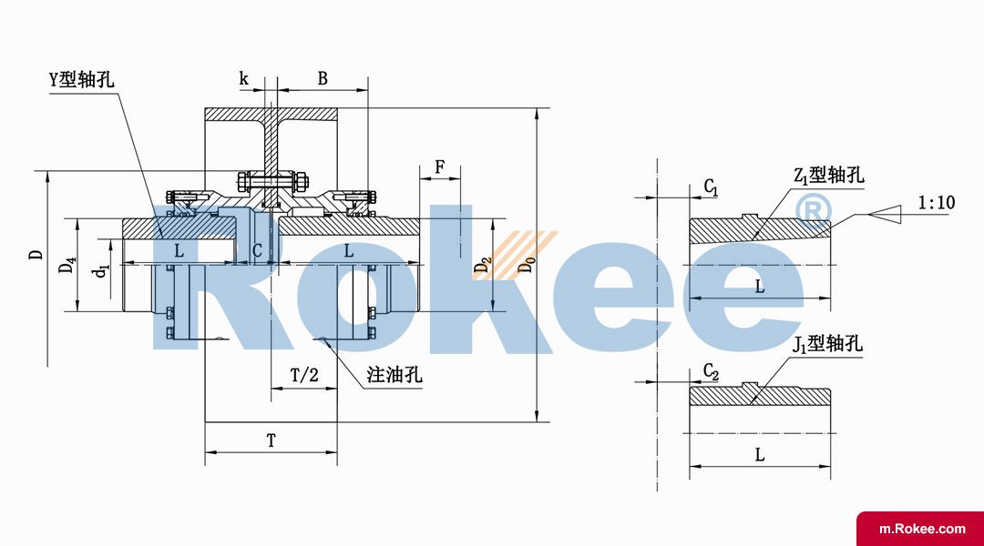 WGZ Drum Gear Coupling With Brake Wheel