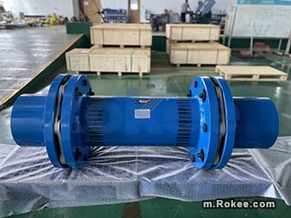 Elastic Single Diaphragm Coupling