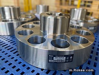 Reducer Elastic Pin Coupling